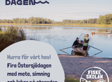 Idag firar vi Östersjödagen – hurra för vårt hav! featured image